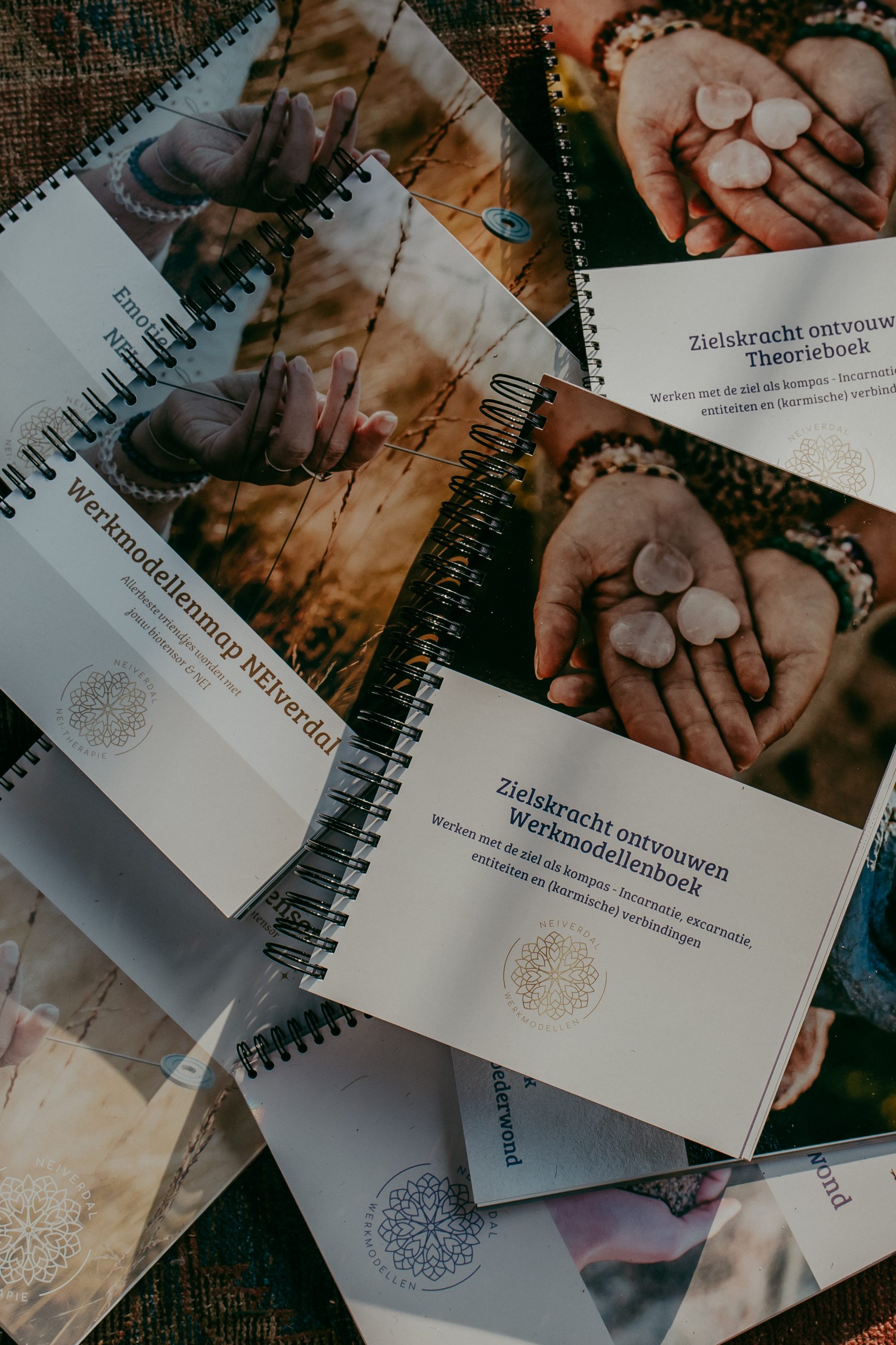 02022026-NEIVERDAL-58